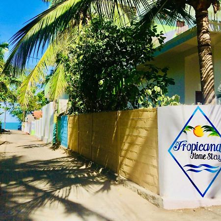 Tropicana Home Stay Arugam Bay Bagian luar foto