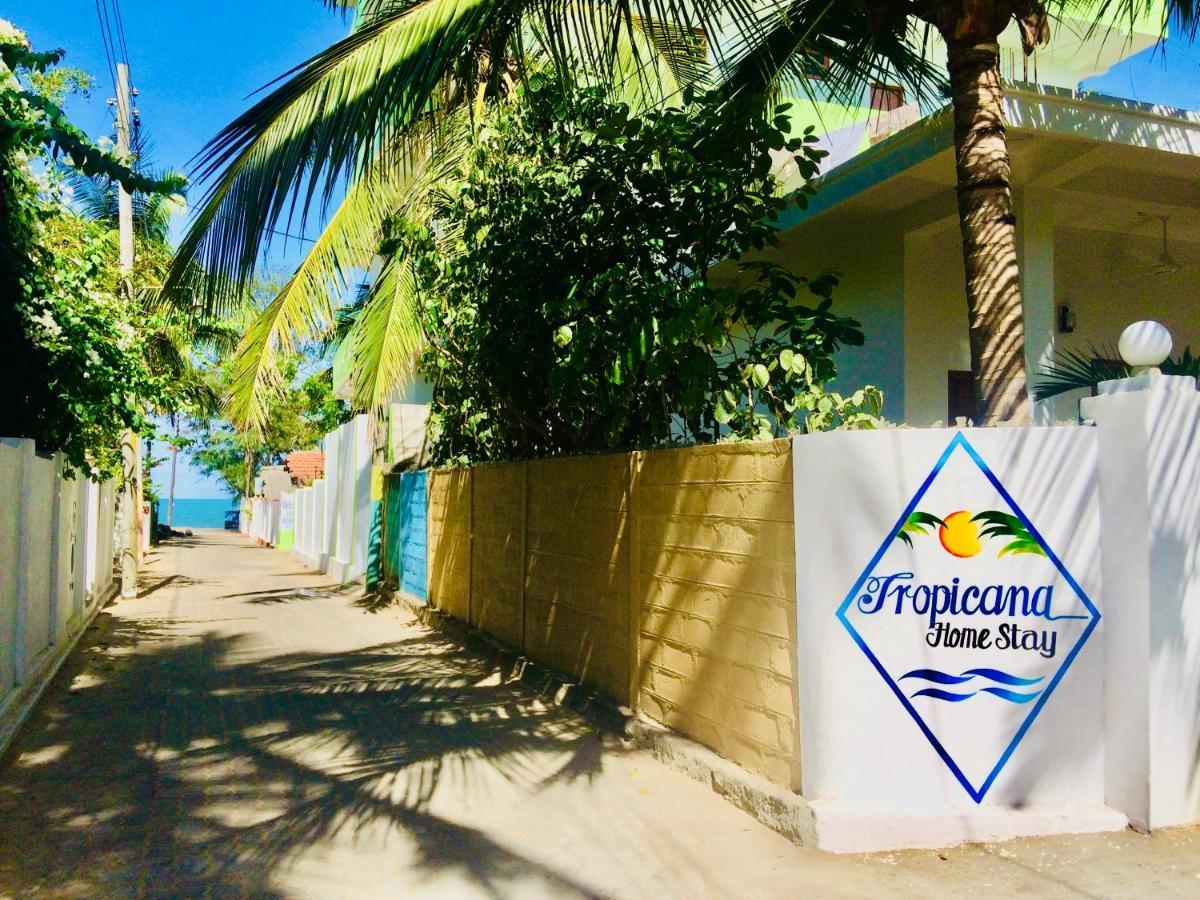 Tropicana Home Stay Arugam Bay Bagian luar foto