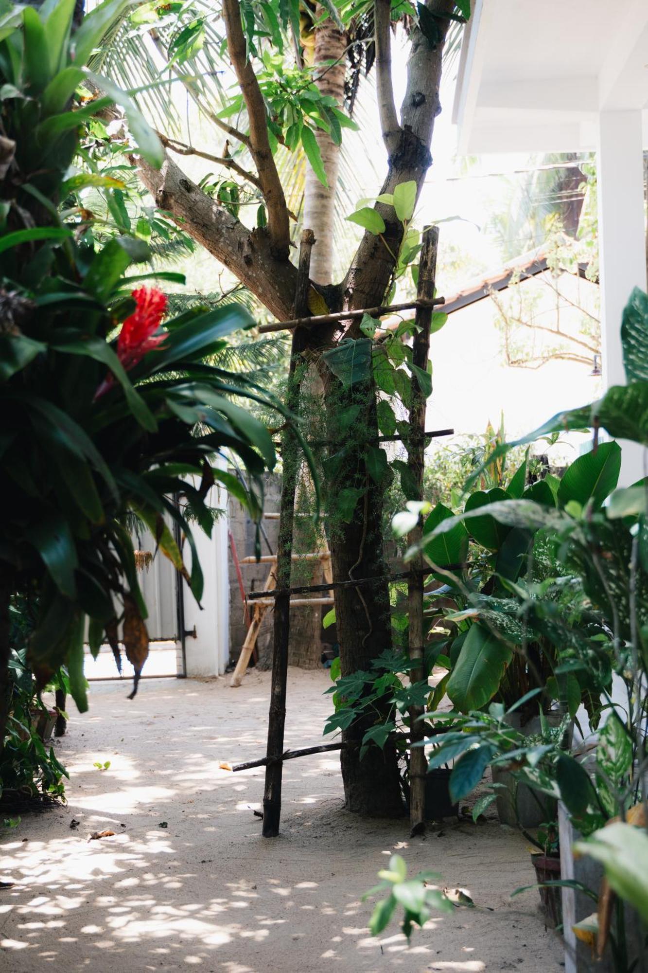 Tropicana Home Stay Arugam Bay Bagian luar foto