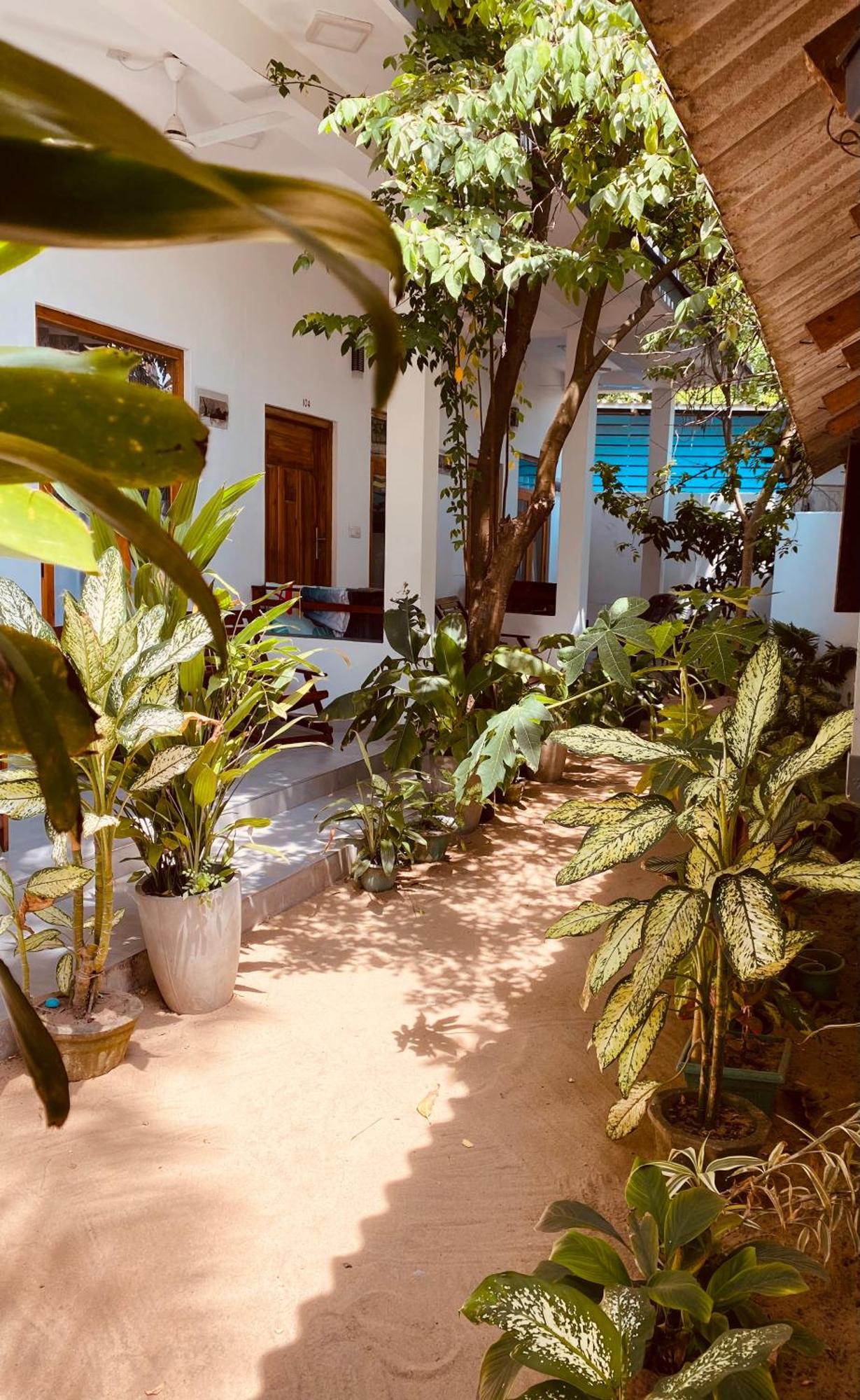 Tropicana Home Stay Arugam Bay Bagian luar foto